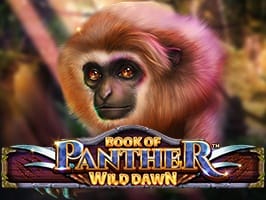 Book of Panther Wild Dawn screenshot